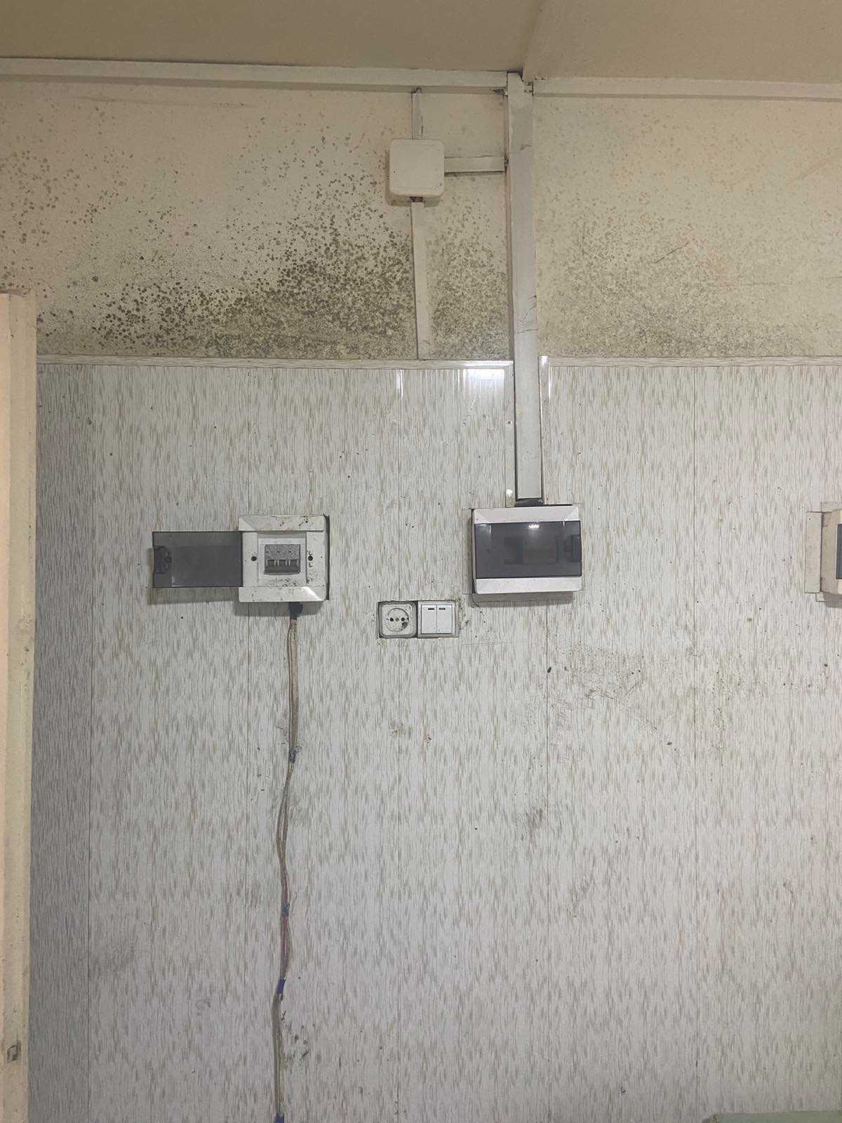 Без названия (14)_1753164905.jpeg